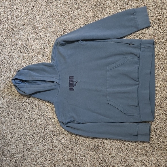 LOWEST PRICE-Puma Hoodie - Picture 1 of 1